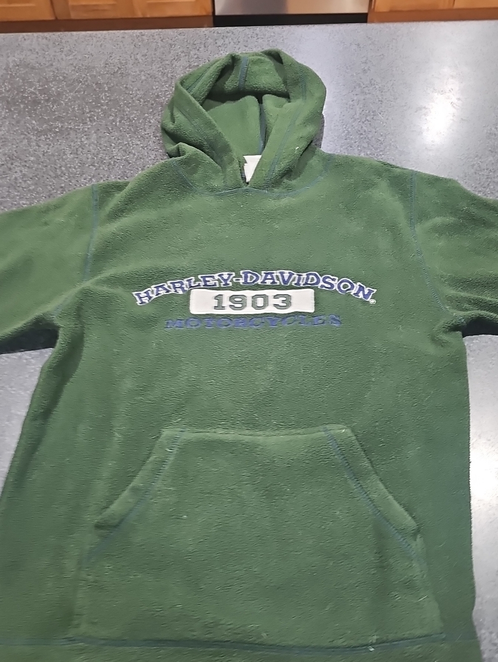 Harley-Davidson Forest Green Hooded Pullover with 1903 Embroidery